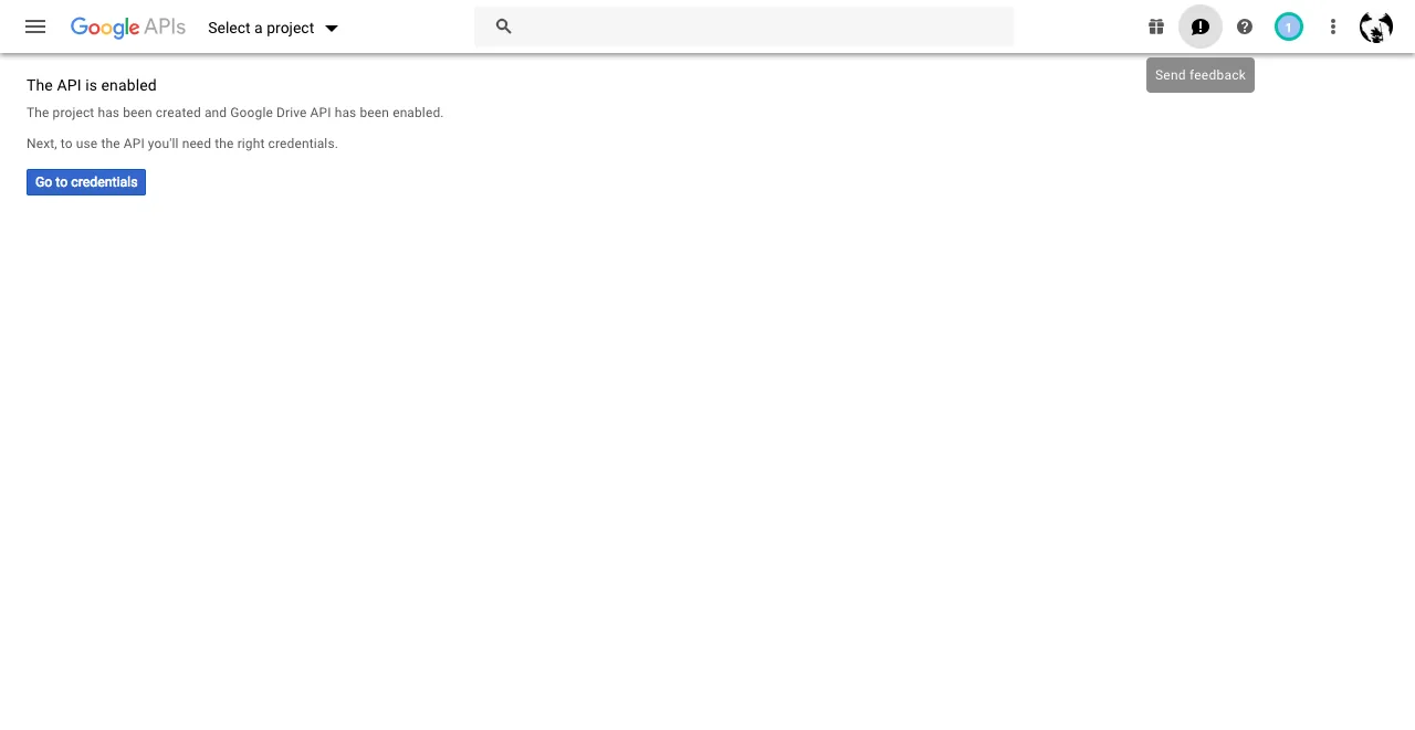 Google confirming the Drive API is enabled